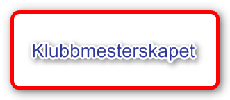 Bernt Ivar ble klubbmester 2017