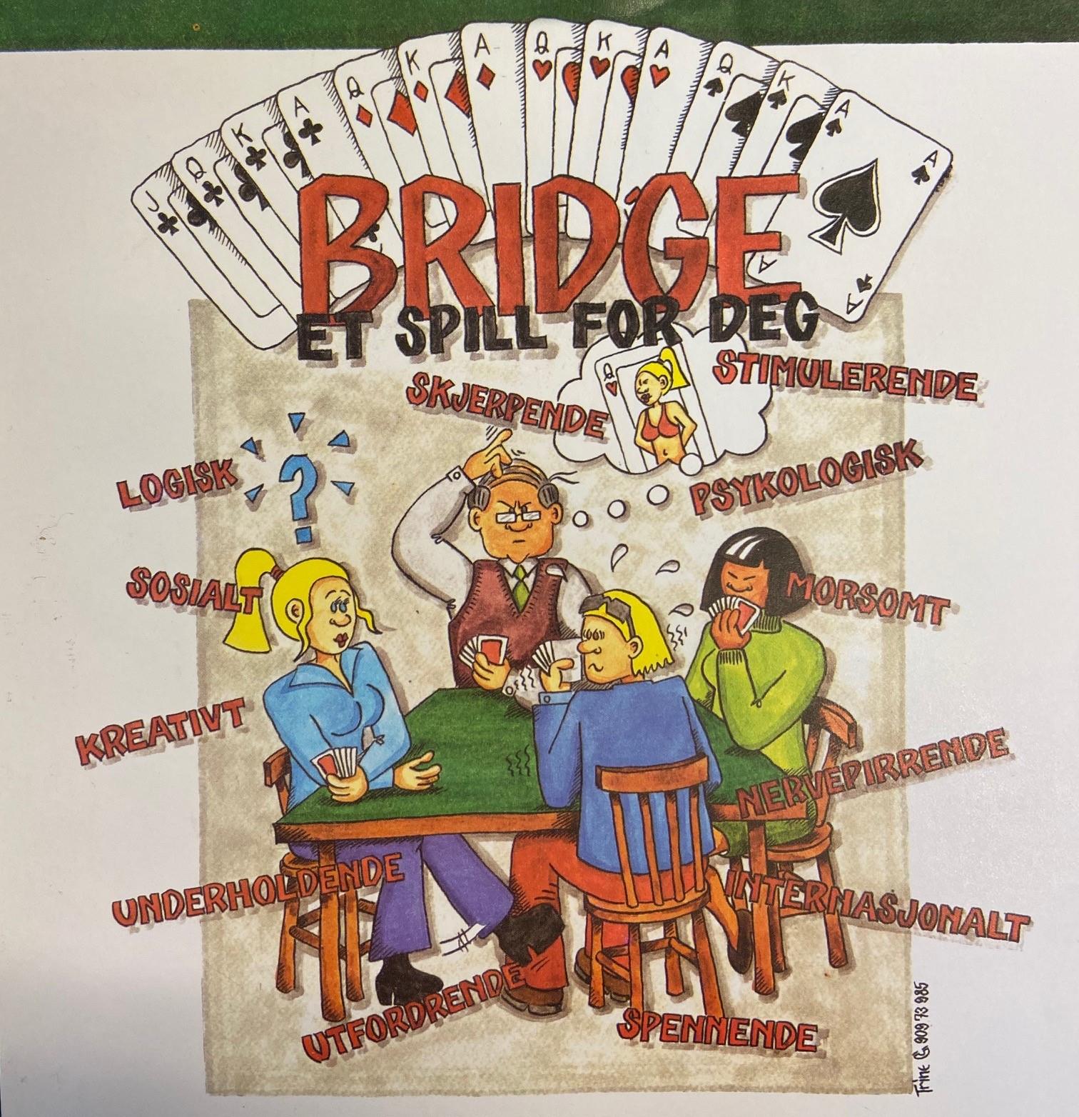 Bridgekurs